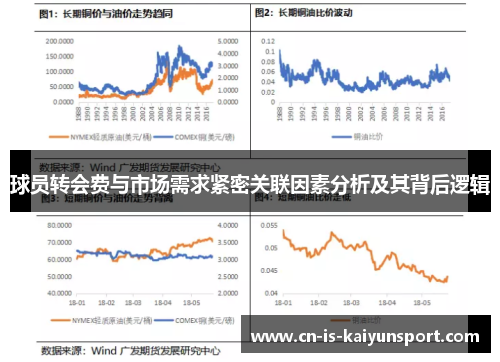 球员转会费与市场需求紧密关联因素分析及其背后逻辑